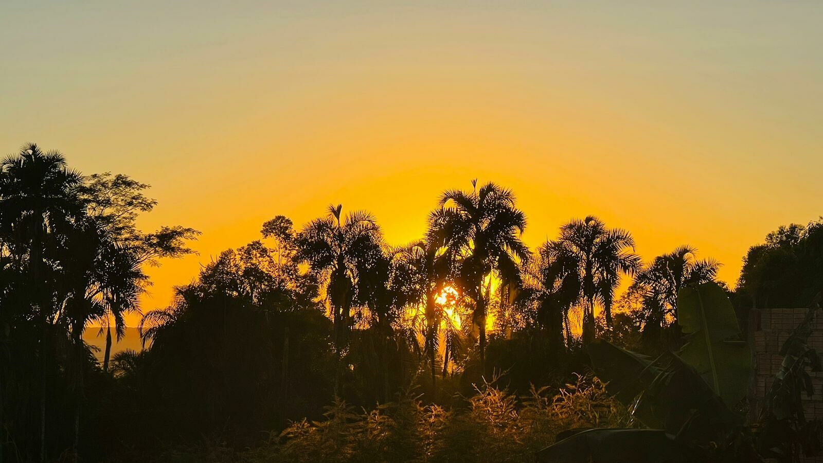 Imagem de compartilhamento para o artigo Outubro começa com nova onda de calor em Costa Rica e região da MS Todo dia